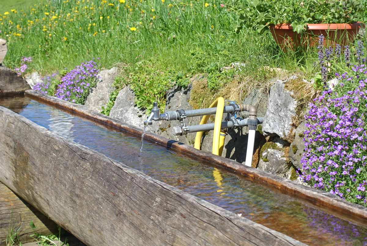 Kristall klares Alpeswasser
