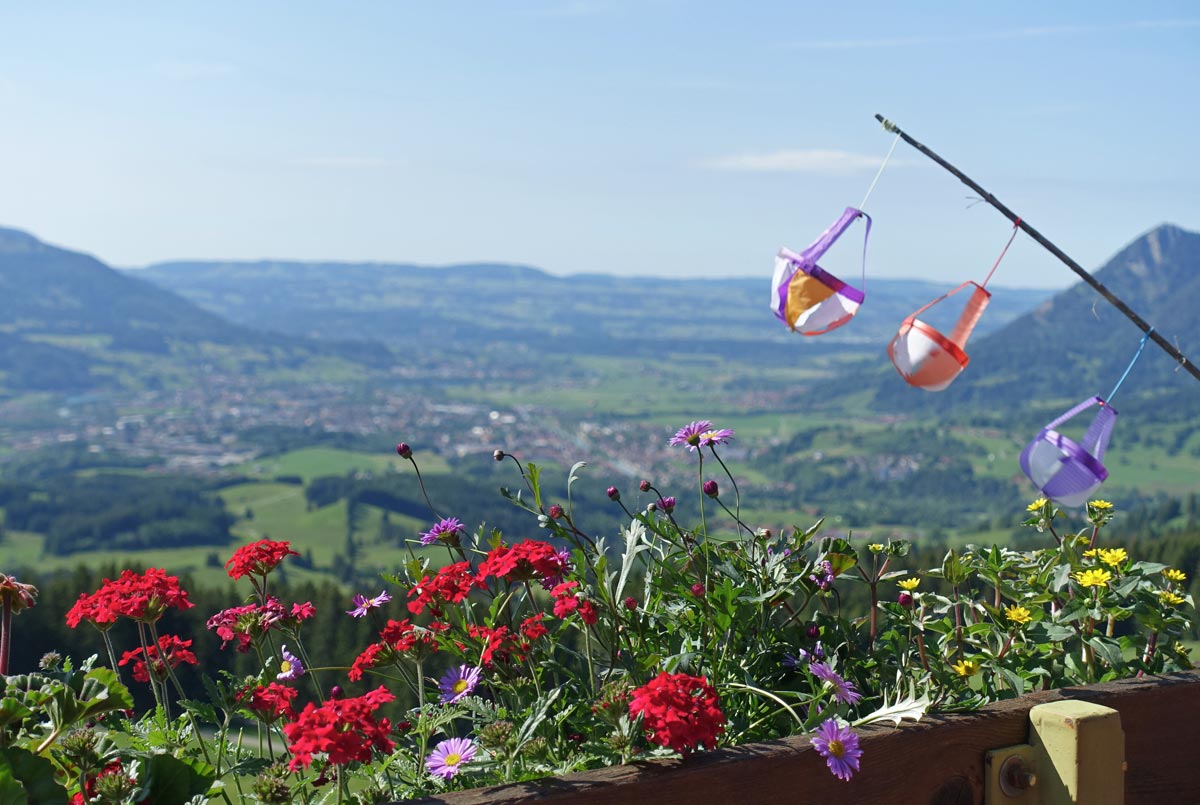 Blumiges Panorama