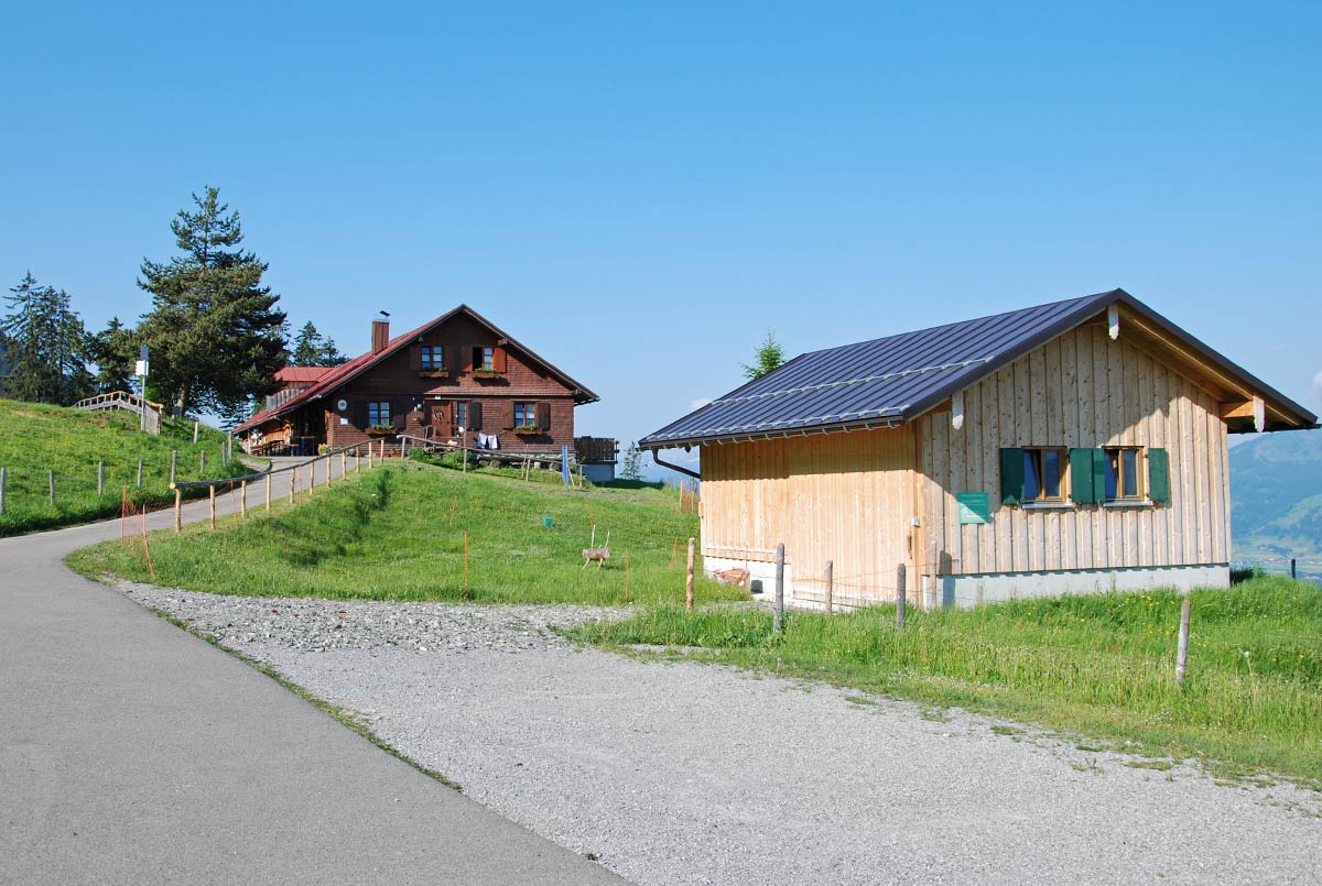 Geteerter Wanderweg zur Alpe