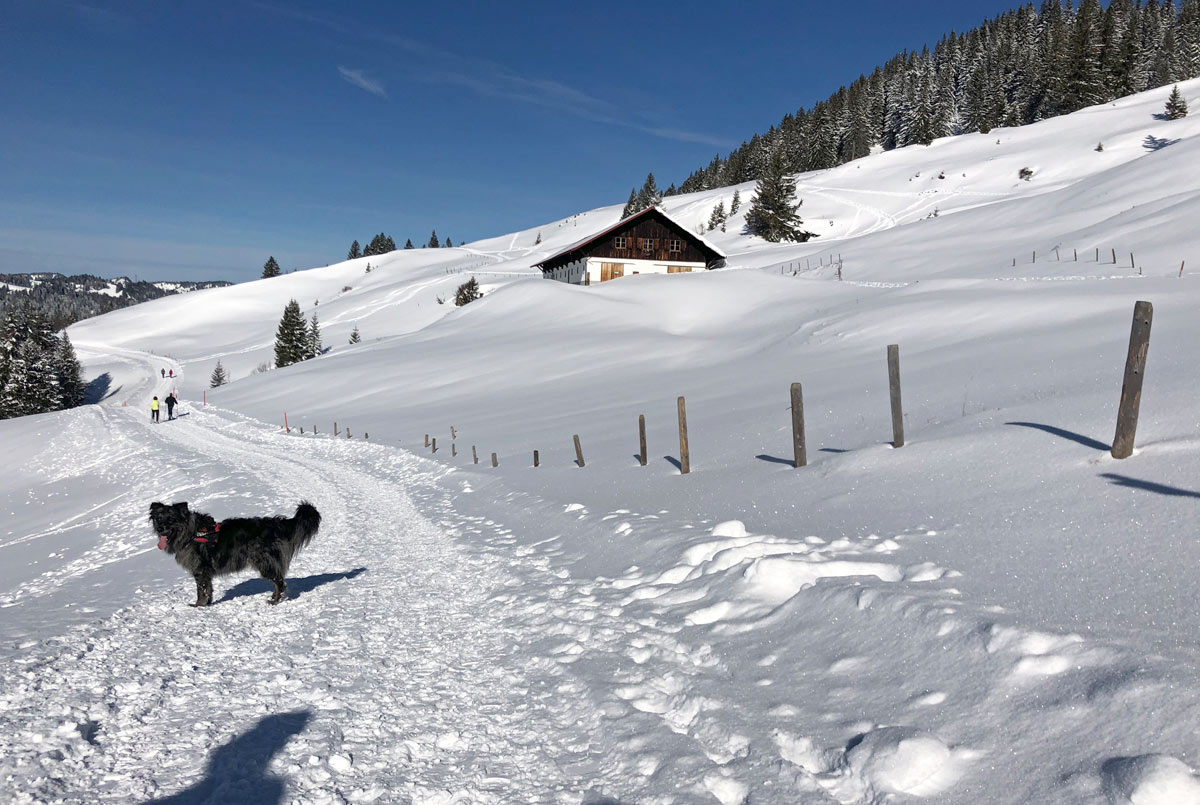 Winterwanderweg zur Alpe