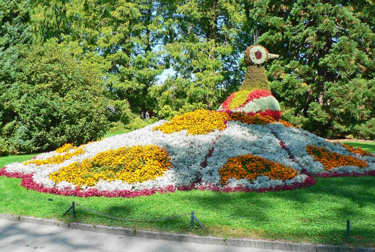 Pfauenkleid aus bunten Blumen